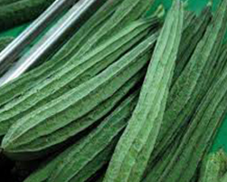 coco peat